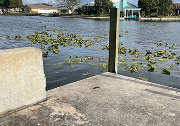 Seawall Repair